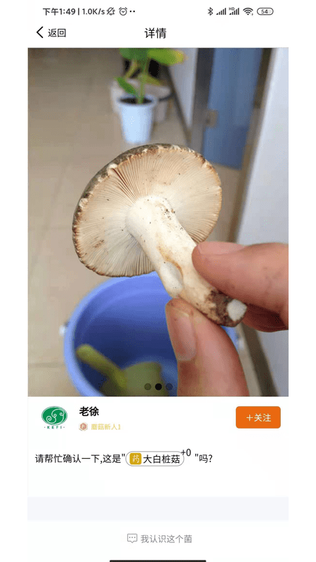 菌窝子软件下载