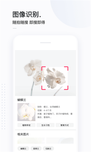 简单搜索app