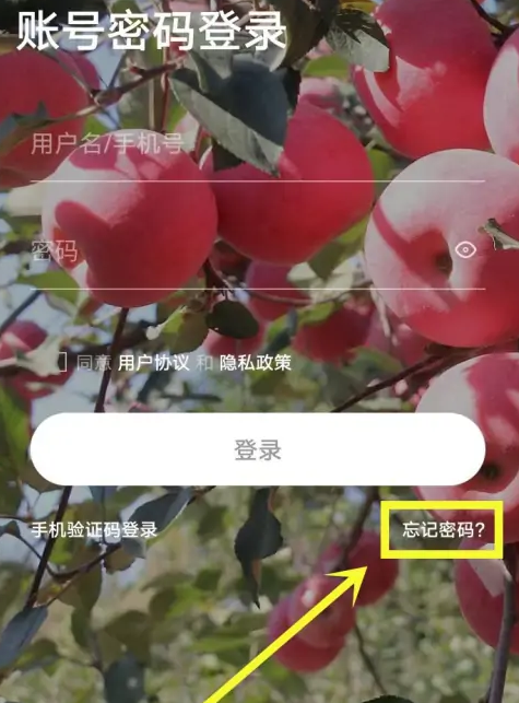 种业通手机备案app