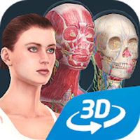 人体系统女性3D软件