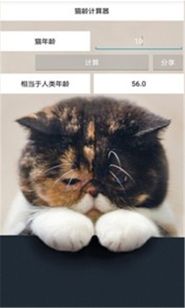 猫龄计算器软件