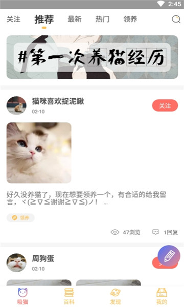 萌翻猫咪社区