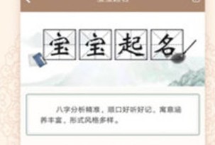 玖安取名起名软件