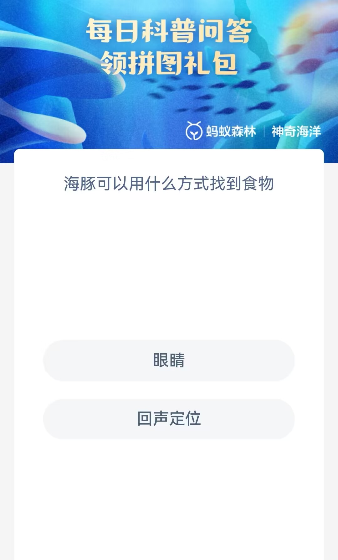 海豚可以用什么方式找到食物