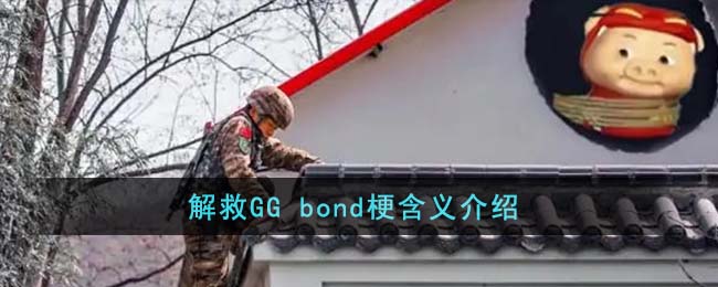 解救GG  bond梗含义介绍