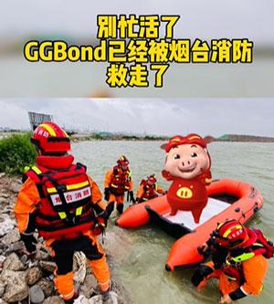 解救GG  bond梗含义介绍