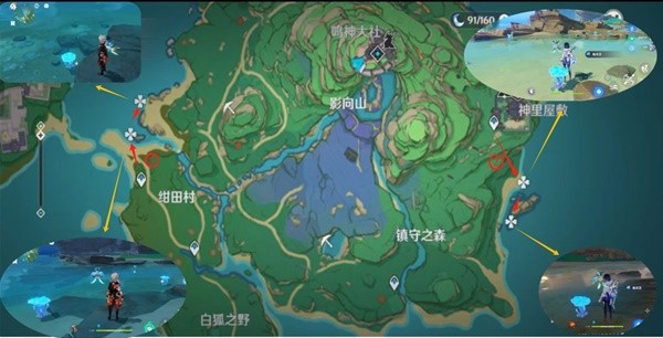 《原神》4.4海灵芝采集路线