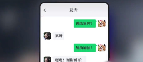 《完蛋我被美女包围了》DLC夏天攻略