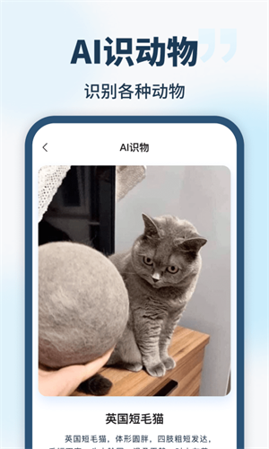 AI智能助手app