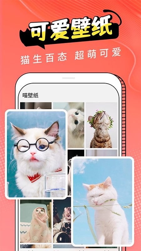 猫翻译手机版下载